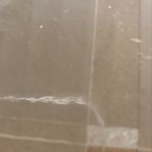 Meet your Posher, Kylie